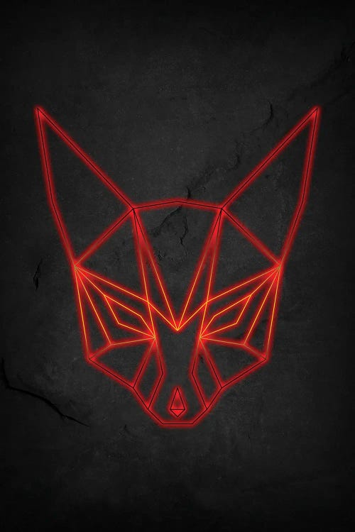 Fox Geometric