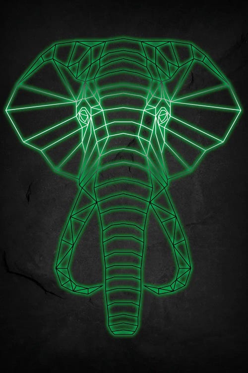 Elephant Geometric