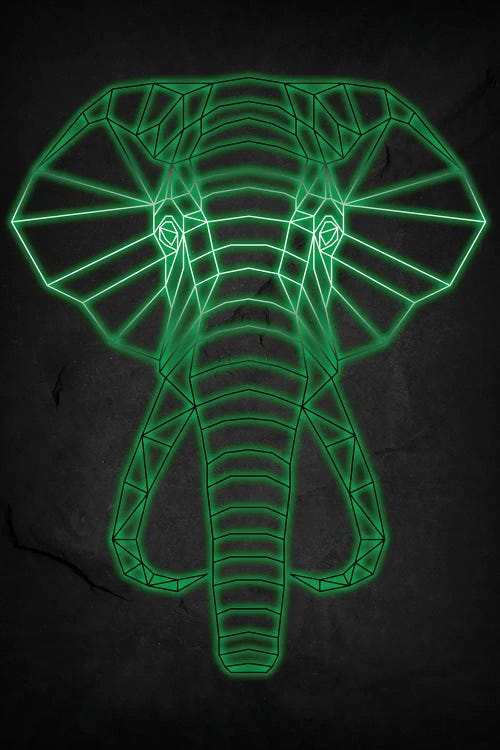 Elephant Geometric by Durro Art wall art