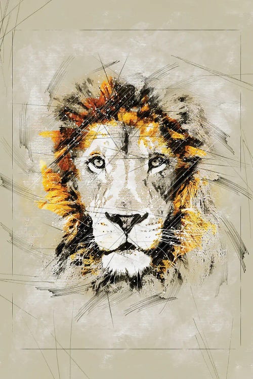 Lion Sketch II