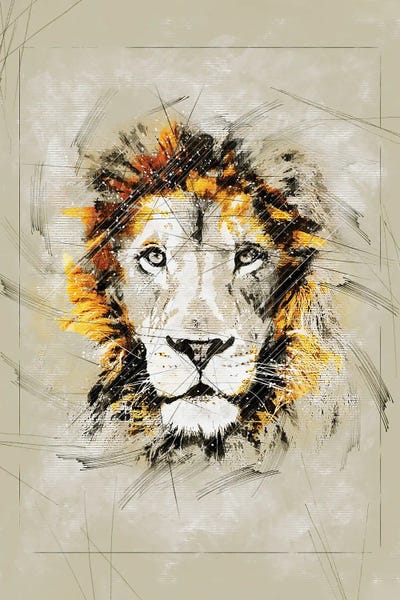 Lion Sketch II