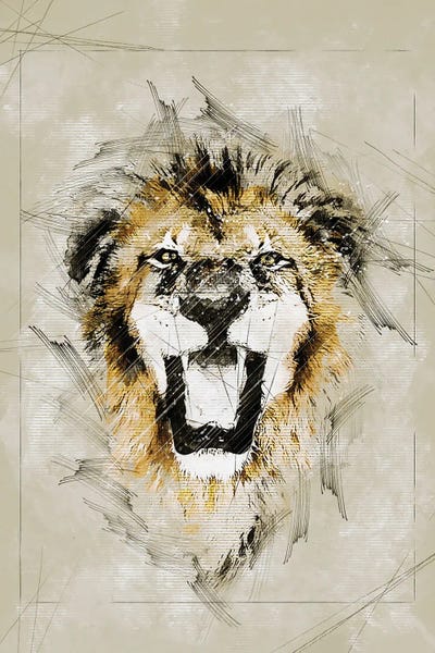 Lion Sketch by Durro Art metal wall art
