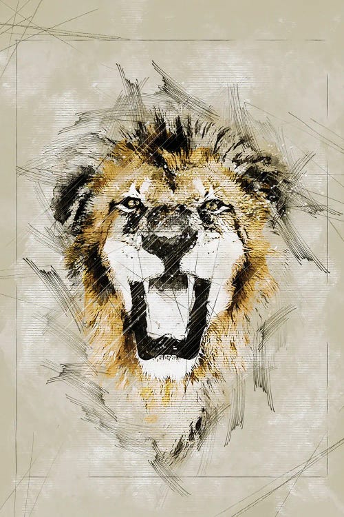 Lion Sketch