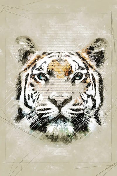 Tiger Sketch by Durro Art metal wall art