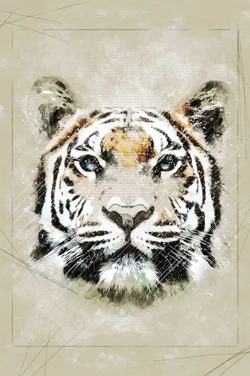 Tiger Sketch