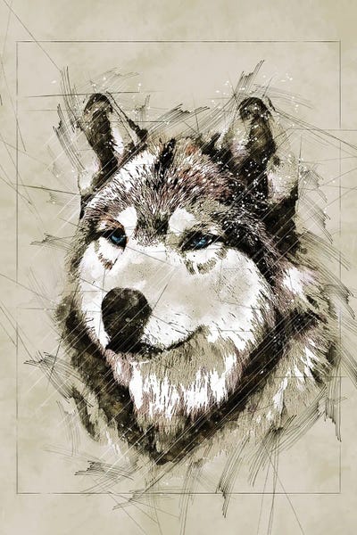Wolf Sketch II