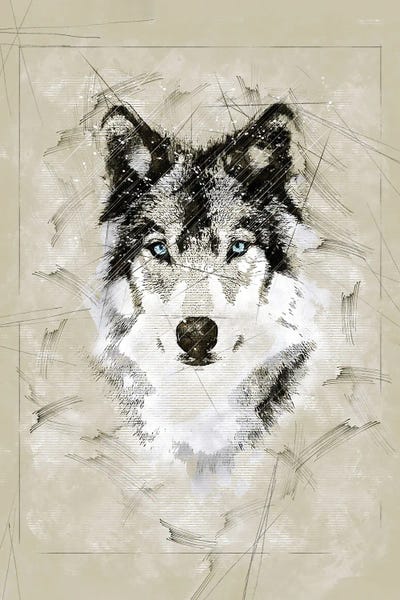 Wolf Sketch by Durro Art canvas print