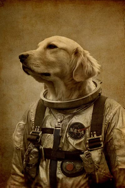 Animal Humor: I'm Coming Back by Durro Art