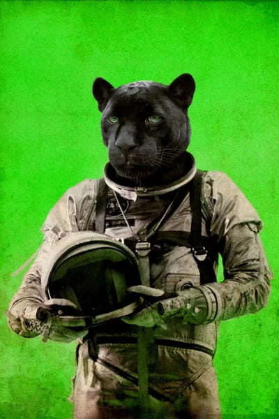 Cougars: I'll Taste The Sky by Durro Art