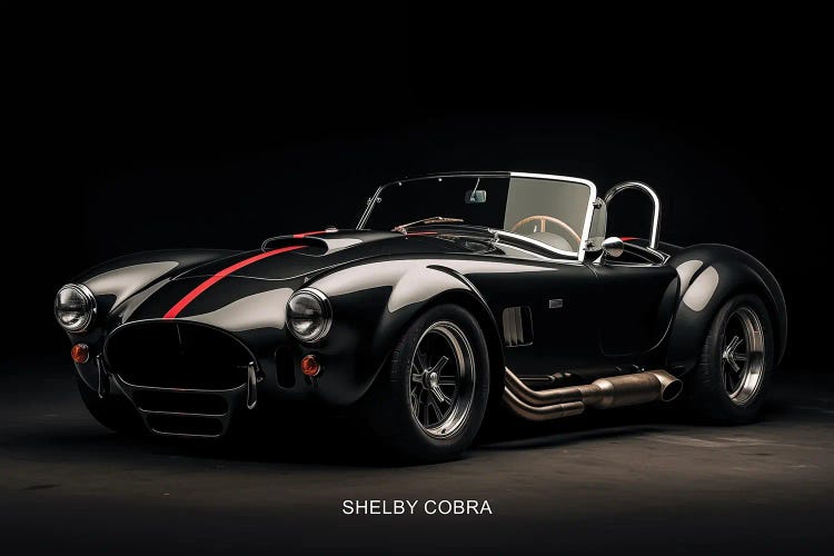 Shelby Cobra Car by Durro Art wall art