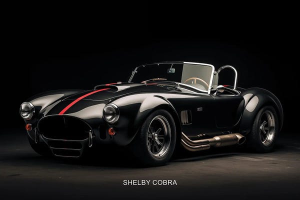 By Land: Shelby Cobra Car by Durro Art