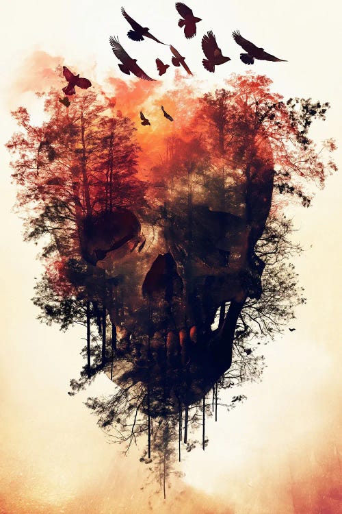 Skull Double Exposure