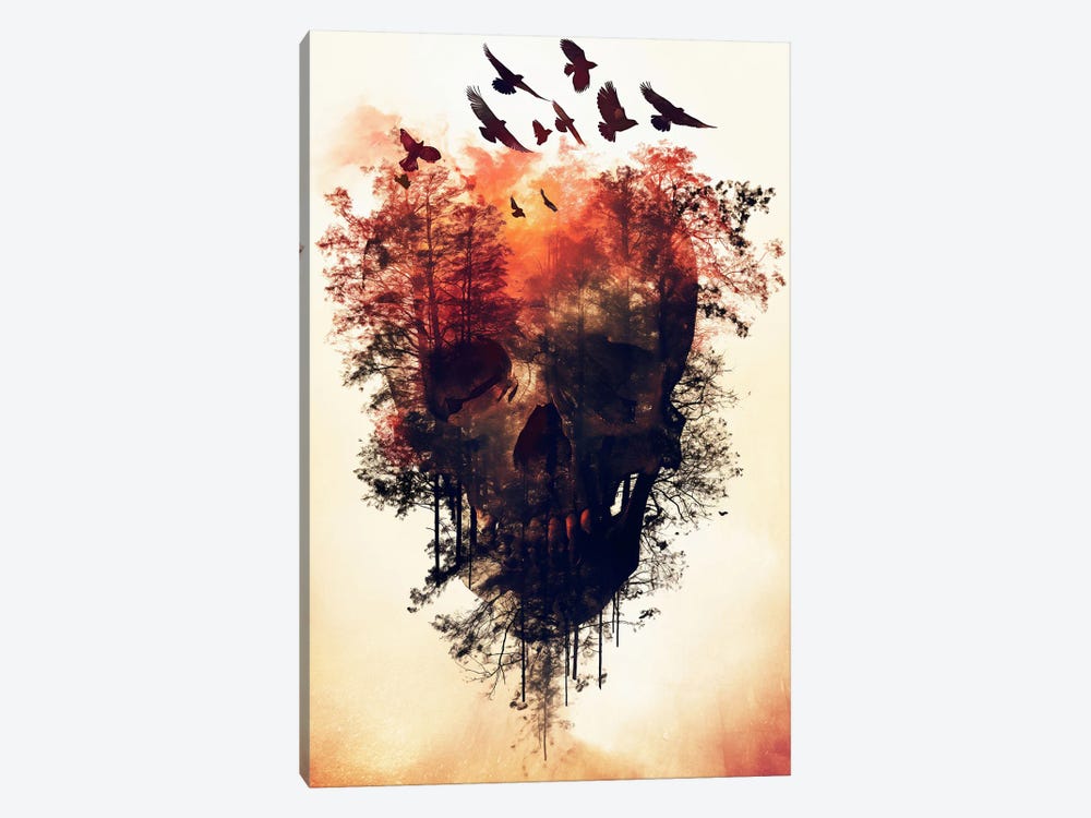 Skull Double Exposure by Durro Art 1-piece Canvas Print