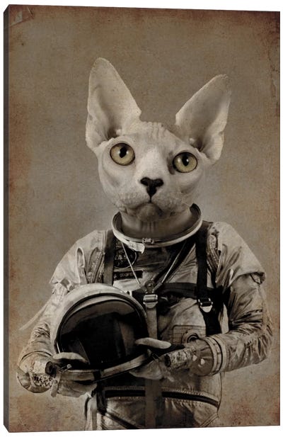 Lost In Space Canvas Art Print - Hairless Cat Art