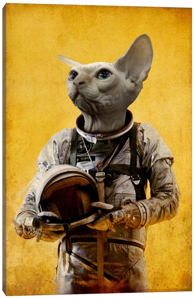 Proud Astronaut Canvas Art Print - Hairless Cat Art