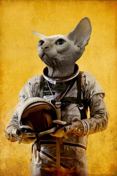 Hairless Cats: Proud Astronaut by Durro Art