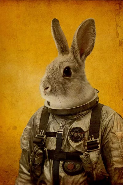 Ready For Flight by Durro Art metal wall art