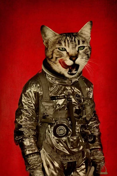 Space Tastes Good by Durro Art metal wall art