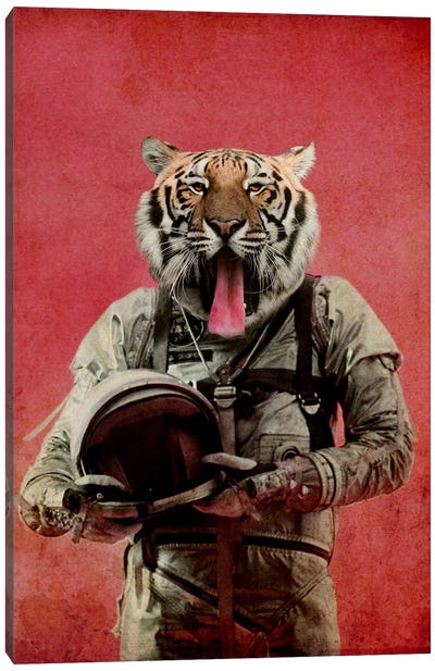 Space Tiger Canvas Art Print - Durro Art