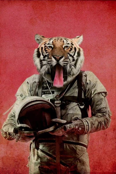 Kids Astronomy & Space Art: Space Tiger by Durro Art