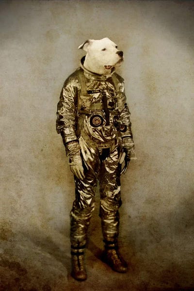 Pit Bulls: Tough by Durro Art