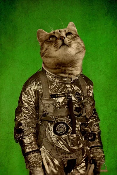 Tabbies: Up There Is My Home by Durro Art