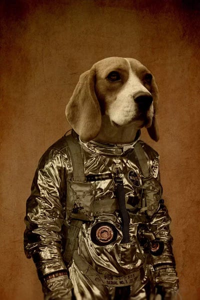 Kids Astronomy & Space Art: Beagle by Durro Art