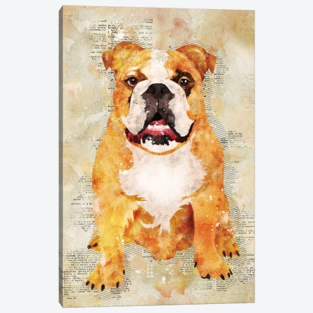 Boxer Dog Canvas Print #DUR343} by Durro Art Canvas Wall Art