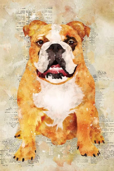 Boxers: Boxer Dog by Durro Art
