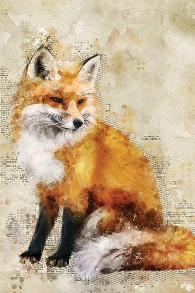 Foxes: Fox by Durro Art