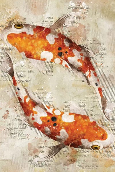 Koi: Koi Fishes by Durro Art