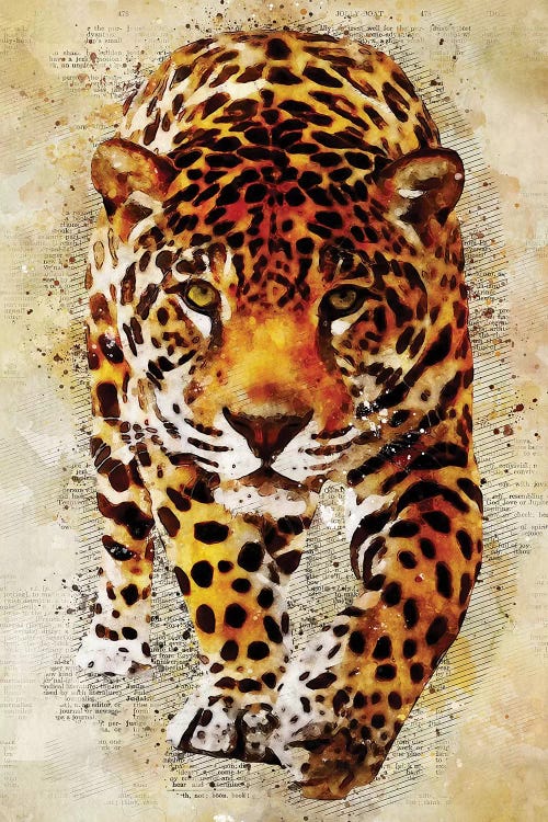 Leopard by Durro Art wall art
