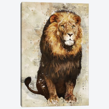 Lion Canvas Print #DUR350} by Durro Art Art Print