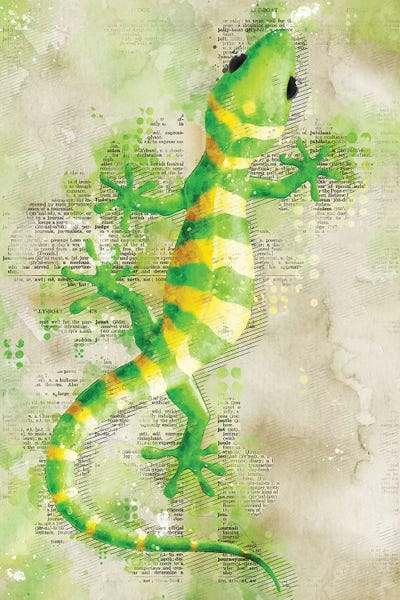 Lizards: Lizard by Durro Art