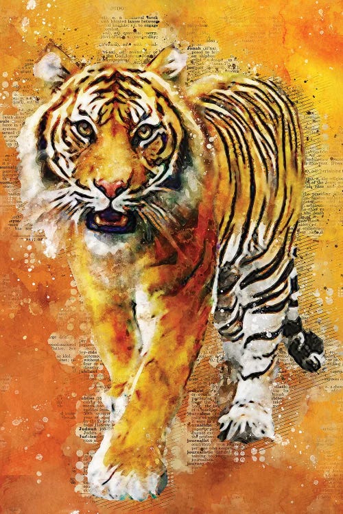 Tiger Wild by Durro Art wall art