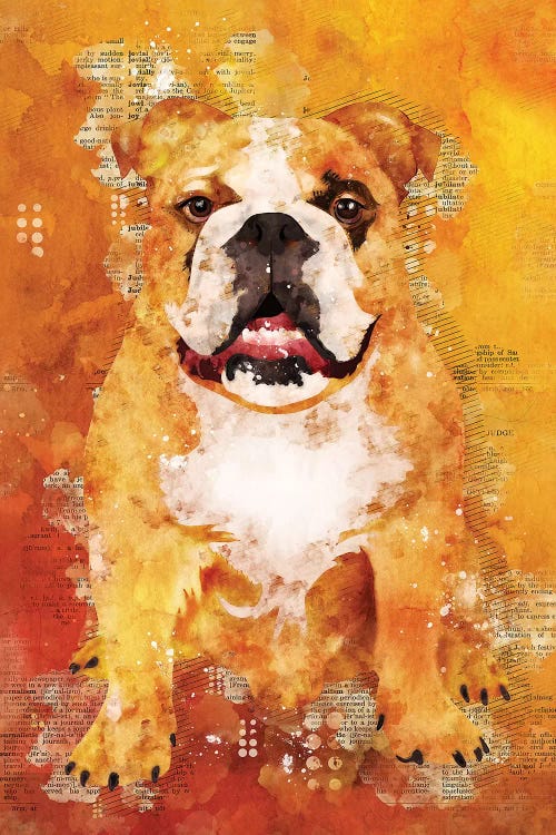 Boxer Dog Wild by Durro Art wall art