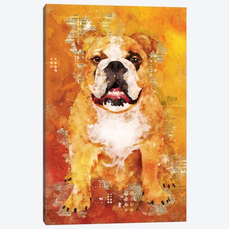 Boxer Dog Wild Canvas Print #DUR356} by Durro Art Canvas Artwork