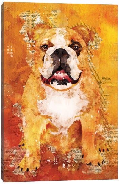 Boxer Dog Wild Canvas Art Print - Boxer Art