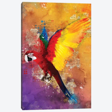 Parrot Canvas Print #DUR359} by Durro Art Canvas Art Print