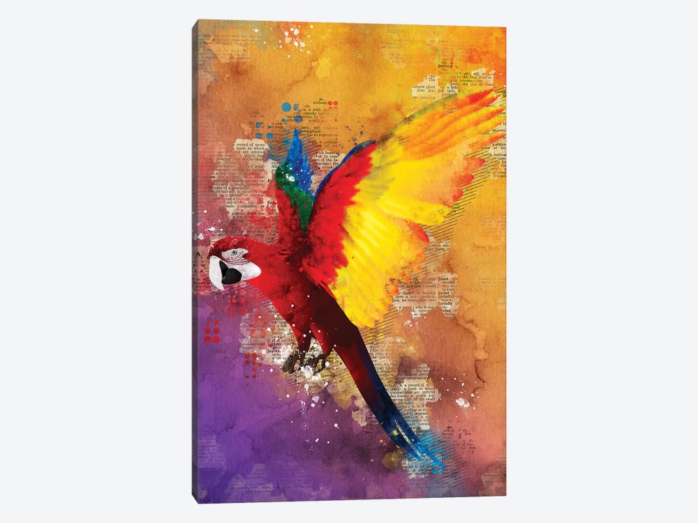 Parrot by Durro Art 1-piece Canvas Artwork
