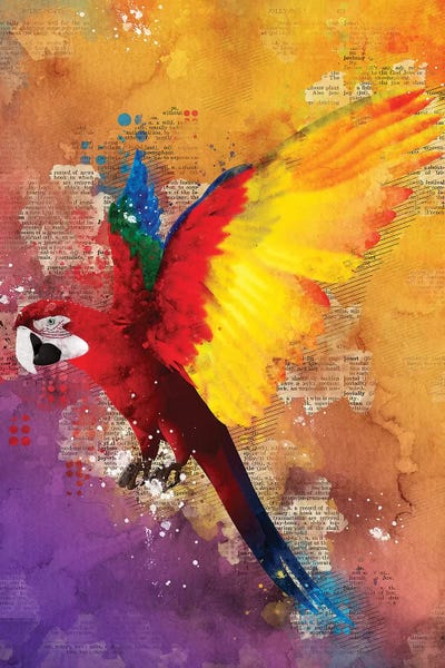 Parrots: Parrot by Durro Art