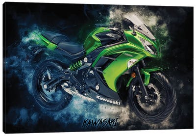 Kawasaki Ninja Green Canvas Art Print - Durro Art