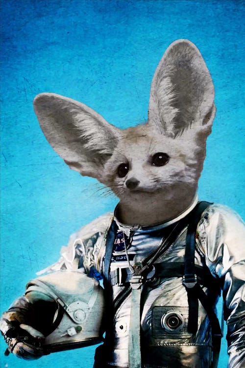 Captain Fennec by Durro Art wall art