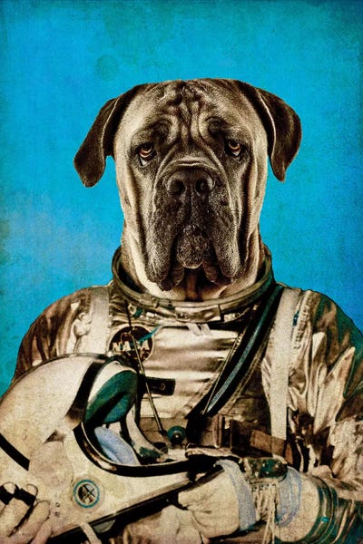 Space Traveler by Durro Art metal wall art