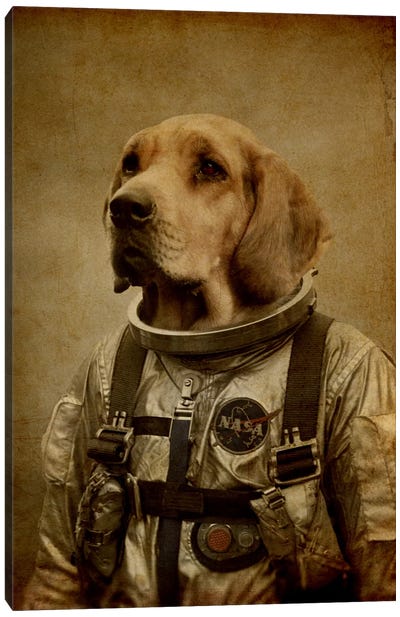 Discover Space Canvas Art Print - Labrador Retriever Art