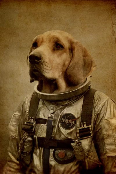 Labrador Retrievers: Discover Space by Durro Art