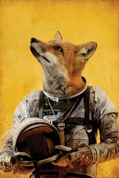 Foxes: Space Fox by Durro Art