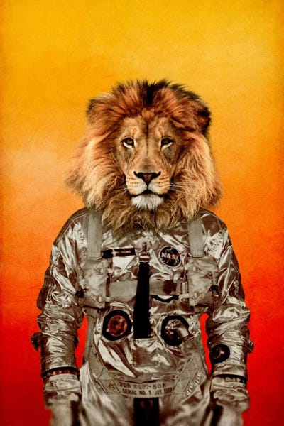 Lions: Go Flight by Durro Art