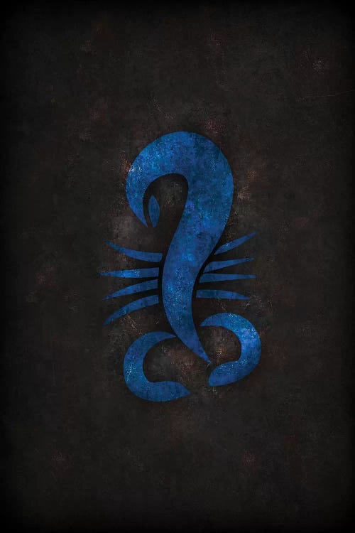  Scorpio by Durro Art wall art