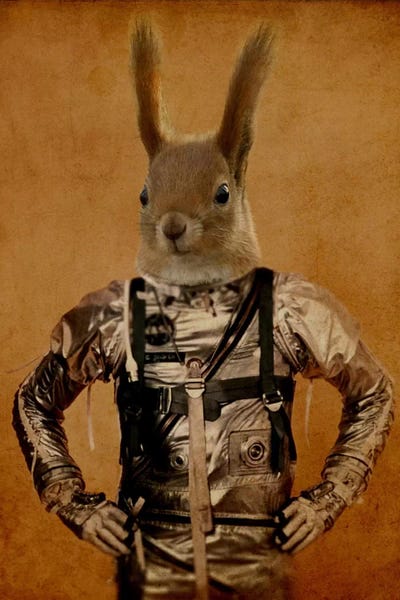 Squirrels: Hazel by Durro Art